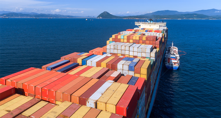 Shipping Services Sea Freight to Indonesia From China