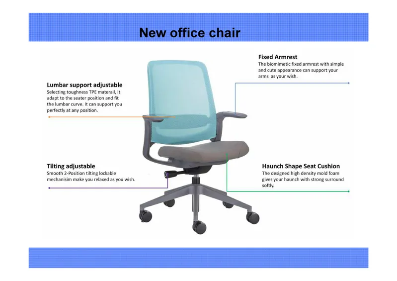 Office Furniture Executive Task Chair with Lumbar Support