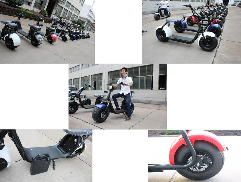 with Rear Damper 1000W Harley Electric Scooter Citycoco