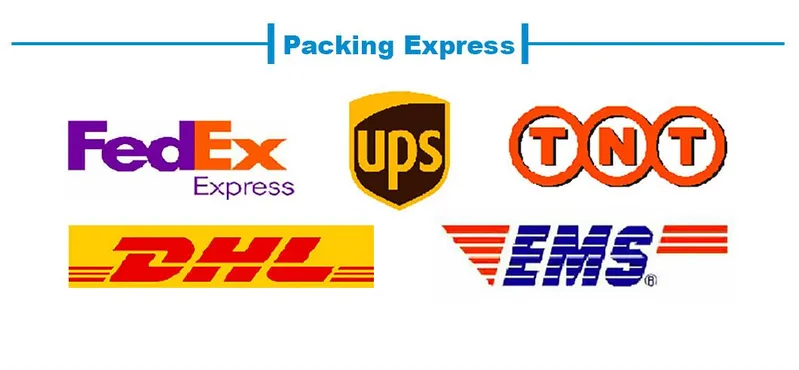 Professional Gynecological Fetal Stethoscope for Pregnant Woman