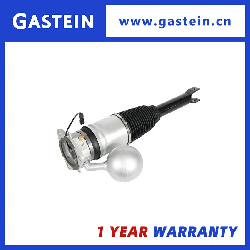 Rear Air Strut Suspension OEM 3D0616001j/3D0616002j Air Shock Absorber
