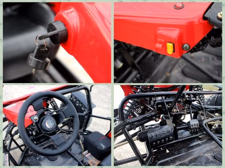 Dune Buggy 200cc Cheap Go Karts for Adults Racing