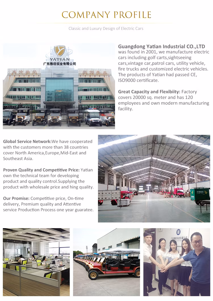 Adults Racing Electric Go Kart UTV for Sale with 4seats