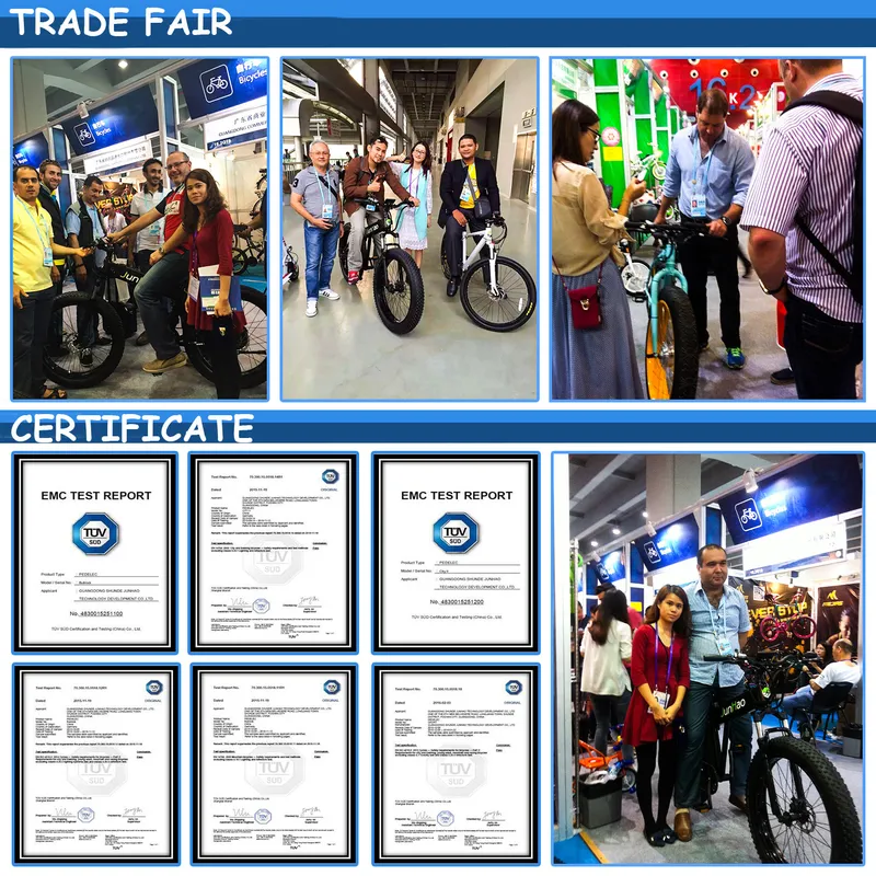 Electric Bicycle with Front Suspension Quality Assurance Ce Approval