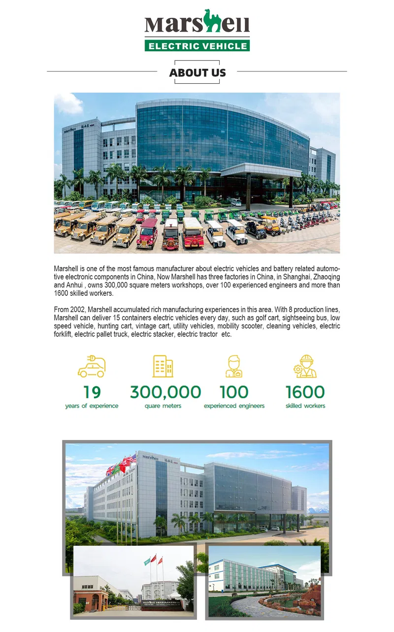 China OEM Manufacturers 6 Seats Golf Buggy (DG-C6)