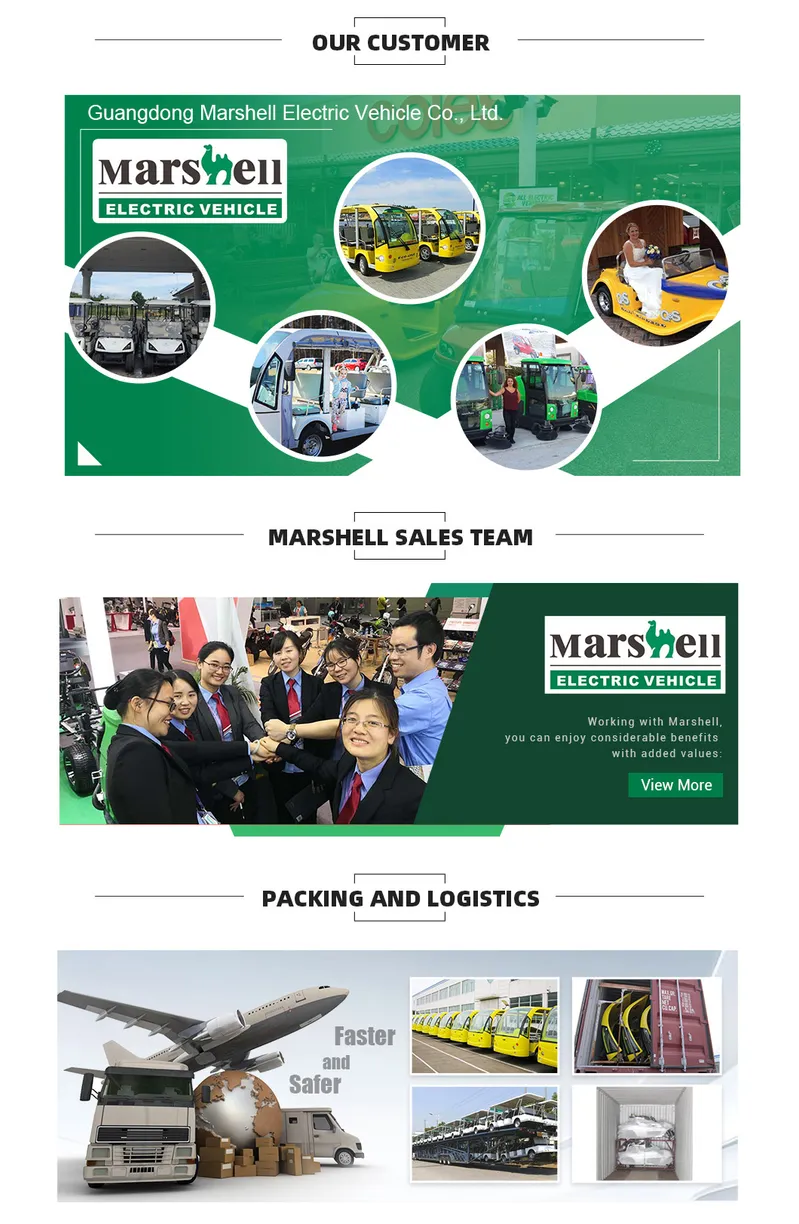 Manufacturers Cheap 8 Seater Electric Golf Cart (DG-C4+2)