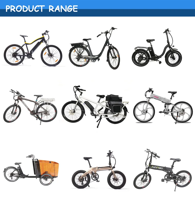 Electric Bicycle with Front Suspension Quality Assurance Ce Approval