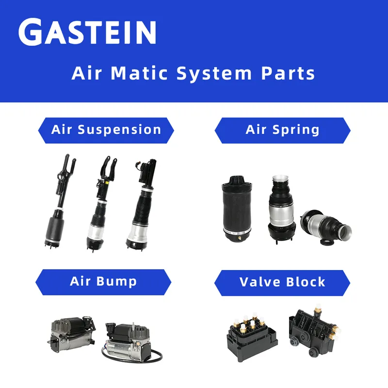 Gastein Front Hydraulic Shock 2513200730 Suspensions