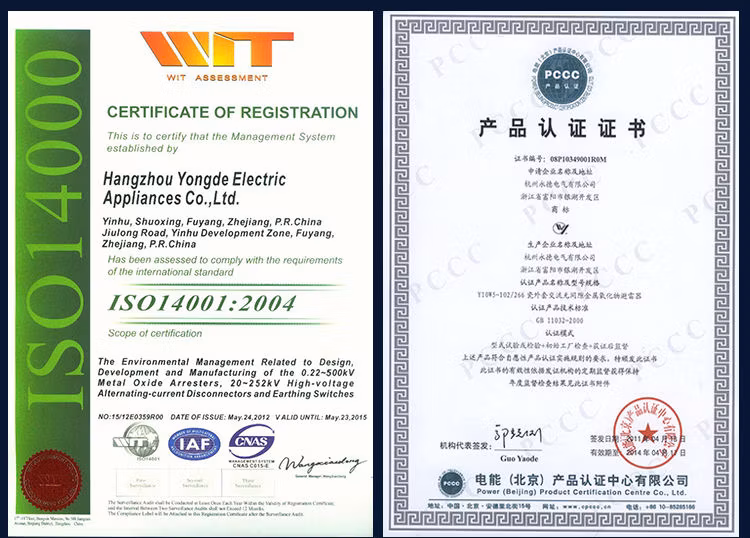 High Voltage Thunder Surge Diverters Manufacturers