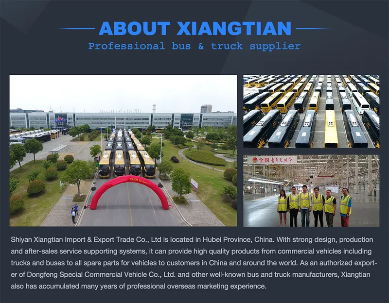 8m School Bus 33 Seats Diesel Luxury Coach Bus