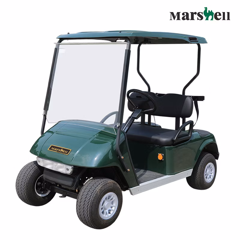 China OEM Manufacturers 2 Seats Wholesale Golf Cart (DG-C2)