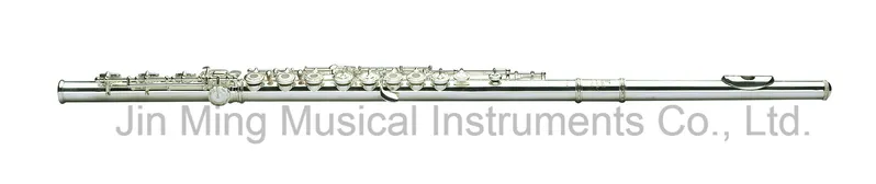 Professional Silver Body Flute Soldered Tonehole Forest Inline