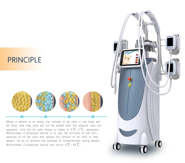 5 in 1 Cryolipolysis Machine Fat Freezing Body Slimming Weight Loss Cavitation RF Beauty Machine