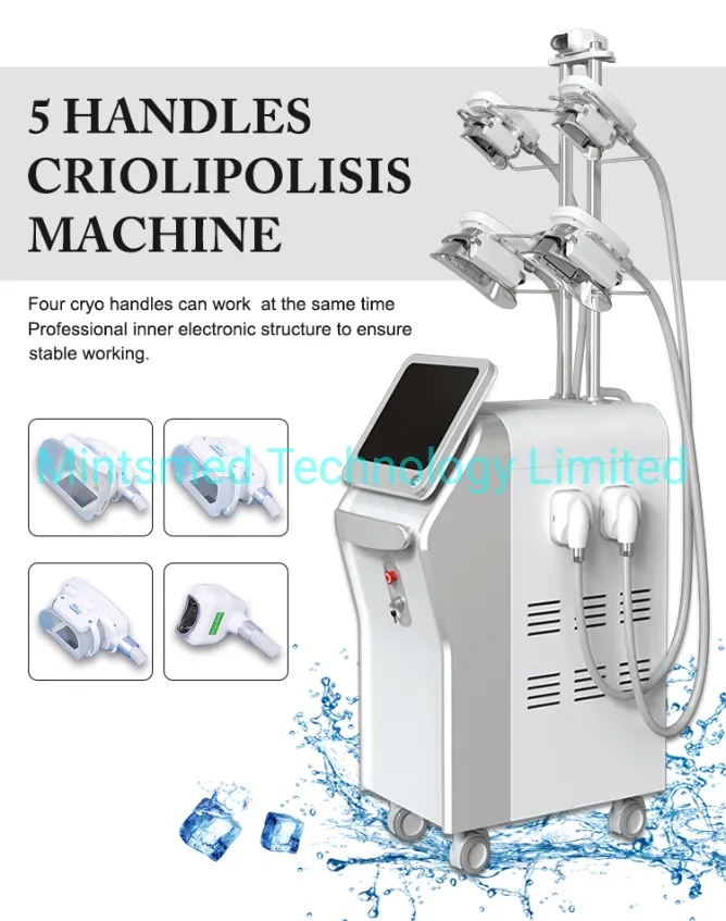 5 Handles Double Chin Fat Freezing Criolipolisis Cellulite Machine Cryolipolysis