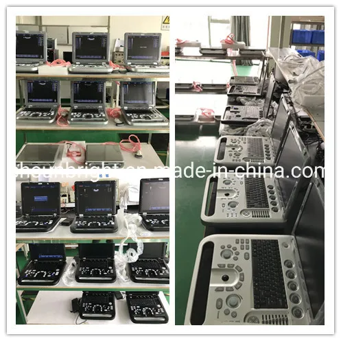 China Good Quality 3D Ultrasound Machine Bw Ultrasound Device Ultrasound