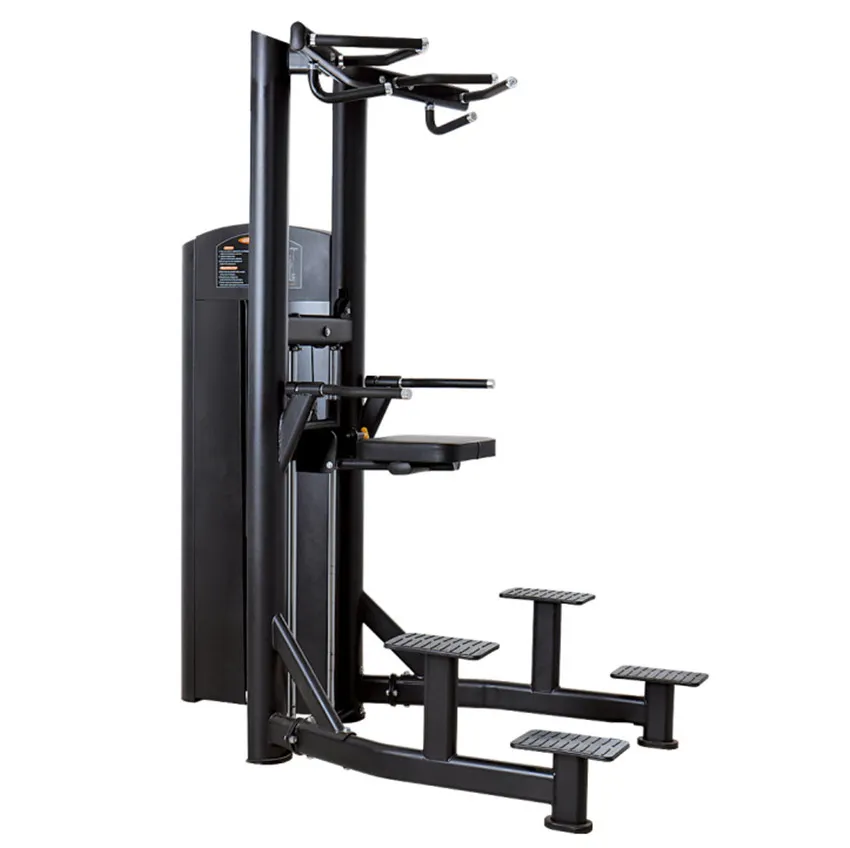 Gym Fitness Equipment Gym Machines Assist DIP Chin Xf07