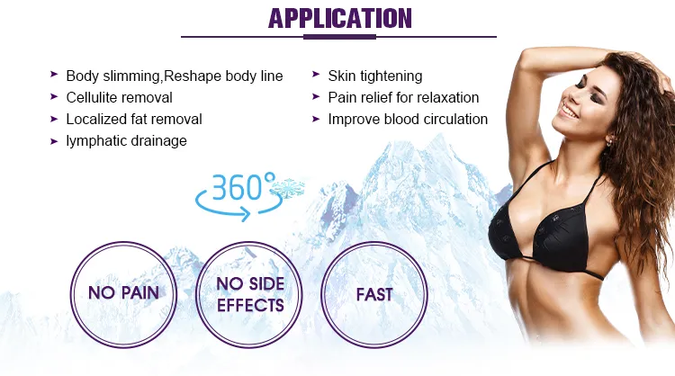 Globalipl Cryolipolysis Fat Freezing Machine
