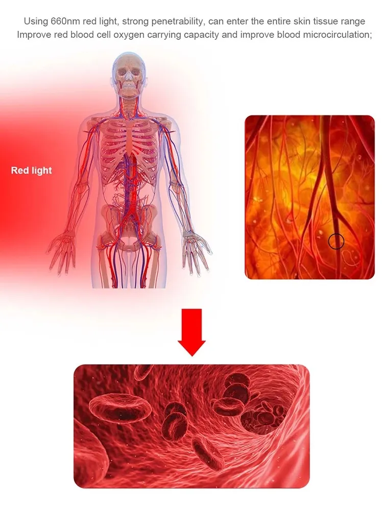 Photomodulation Body Fat Burning Infrared Red LED Light Therapy Panels