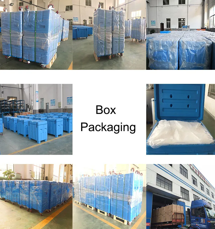 Boxes for Dry Ice/Dry Ice for Shipping/Freezer Dry Ice