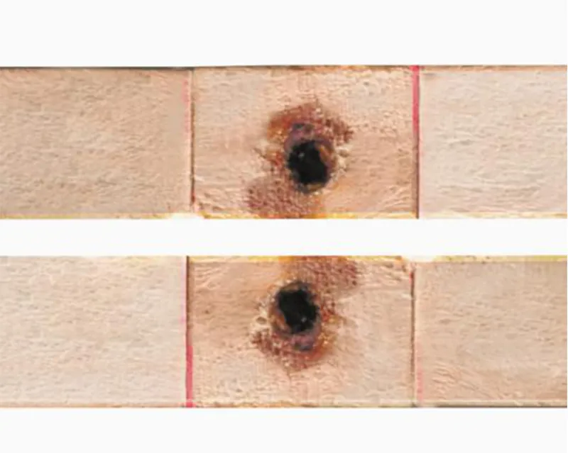 Perfect Cutting Saw for Precision Cutting Without Defects