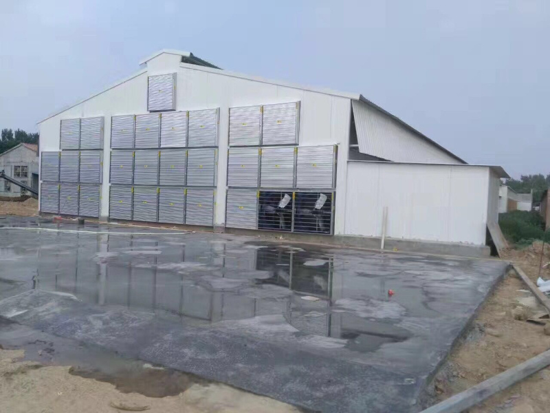 Light Steel Structure Broiler Farm with Poultry Farming Equipment