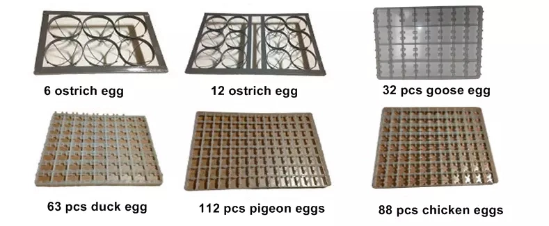 Hühnereier Inkubator/Zugelassene Hühnerbrütanlage Hühnereier Inkubator