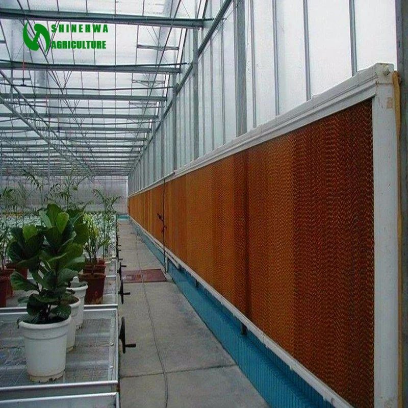 Poultry Farm Cooling Pad Cooling System/Cooling Pad for Greenhouse