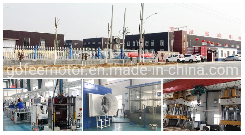 Directly Buy From Factory Fiber Reinforce Plastic Cone Fan