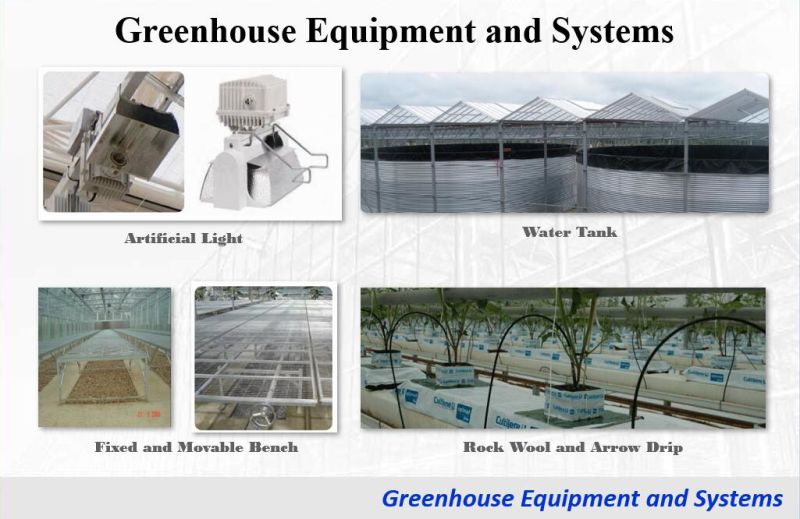 Ventilation Fan/Exhaust Fan (Circulating Fan) for Greenhouse