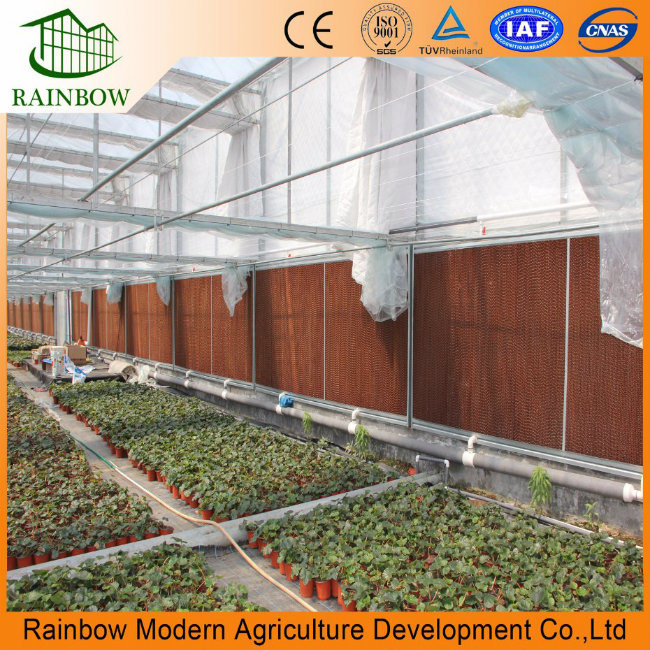 Greenhouse/Farm Honeycomb Cooling Pad 7090/5090