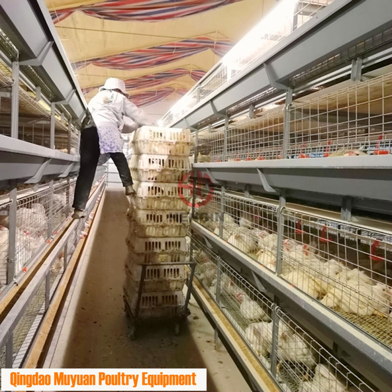 Poultry Farms Broiler Chicken Cage/Coop for Nigeria Farm