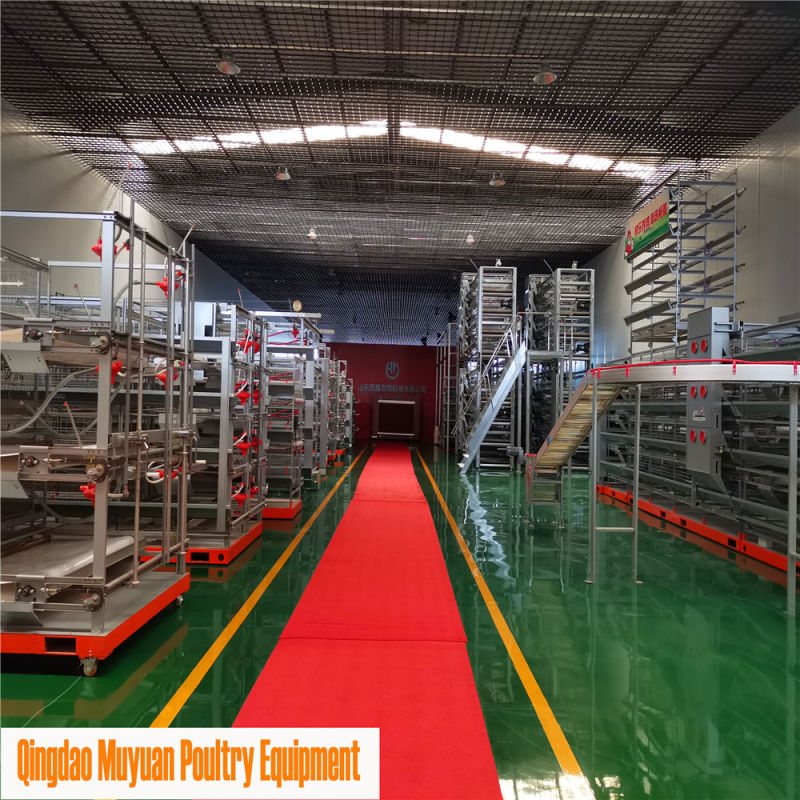 Poultry Farms Broiler Chicken Cage/Coop for Nigeria Farm