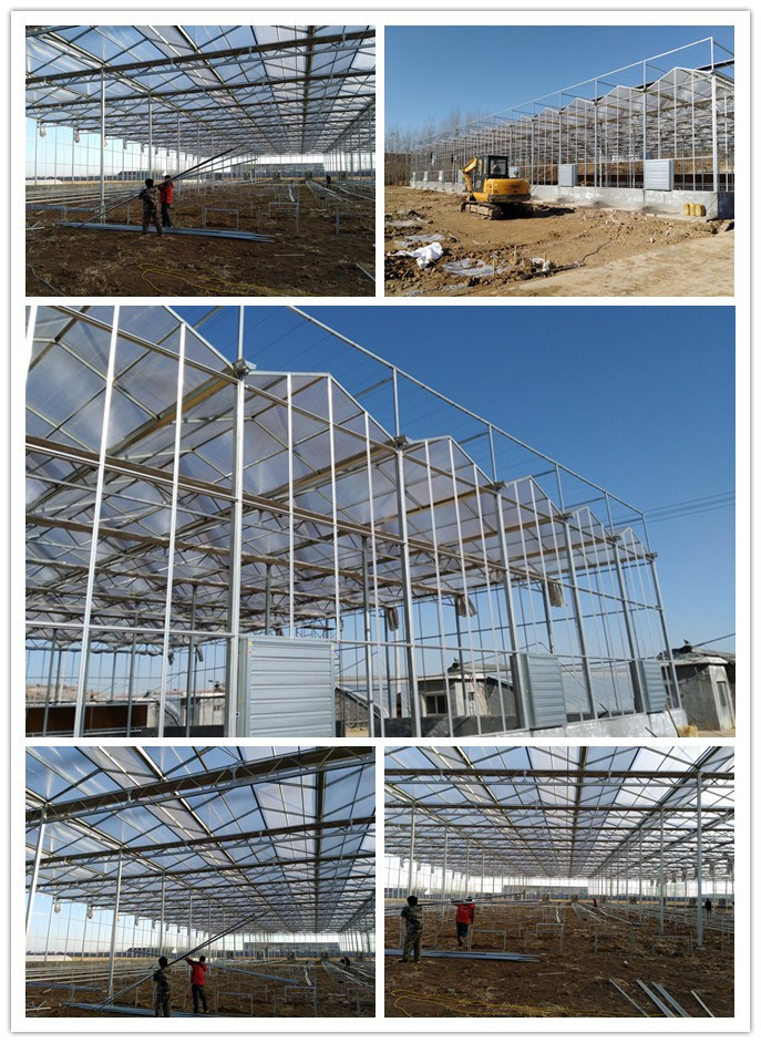 Film Greenhouses with Cooling System for Vegetable Growing