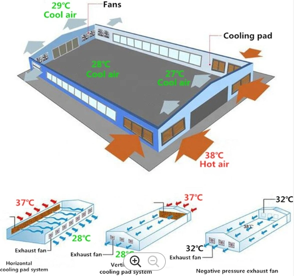 Customized Poultry Shed Air Cooler Evaporate Cooling Pad/Air Cooler/Exhaust Fan