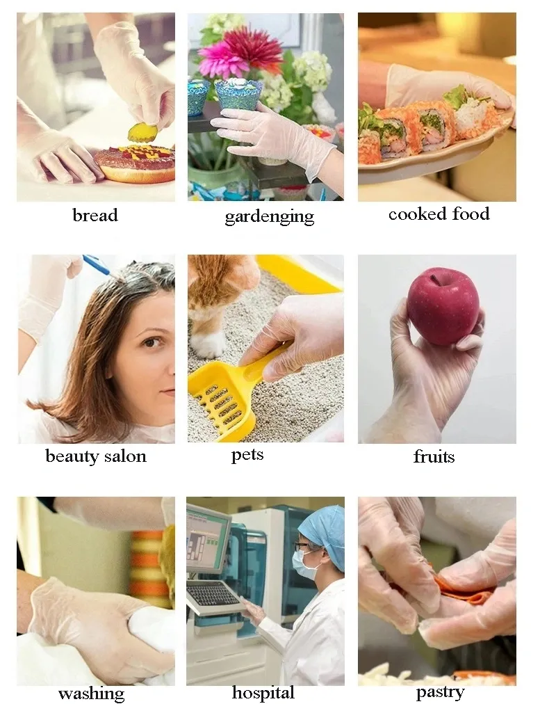 Disposable Powder Free PVC Vinyl Gloves for Examination Use