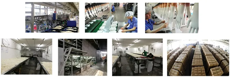 Factory Price Disposable Lates Protective Vinyl/Latex/Nitrile Gloves