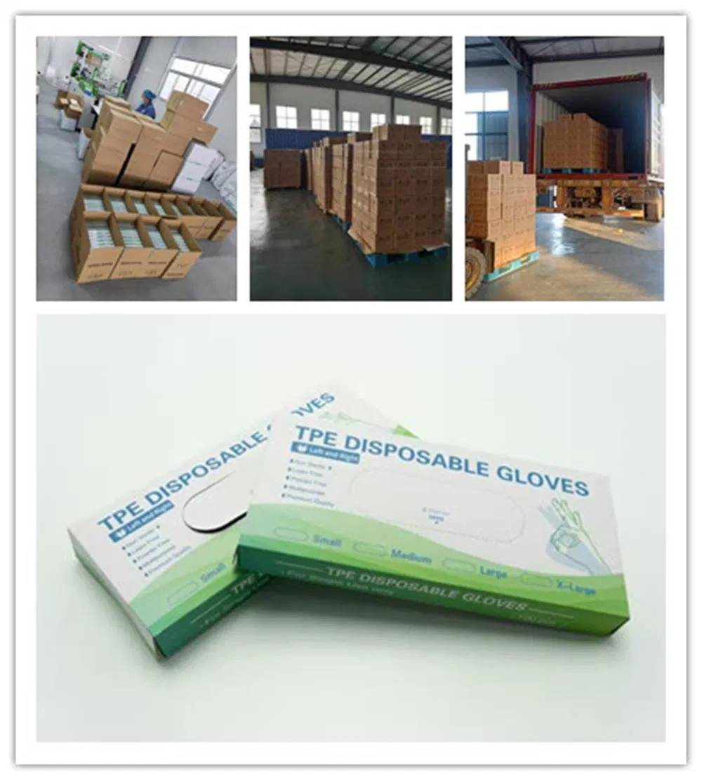 Disposable PE Glove/Plastic Glove/Blue LDPE Glove Plastic Glove/LDPE Glove/Disposable PE Glove