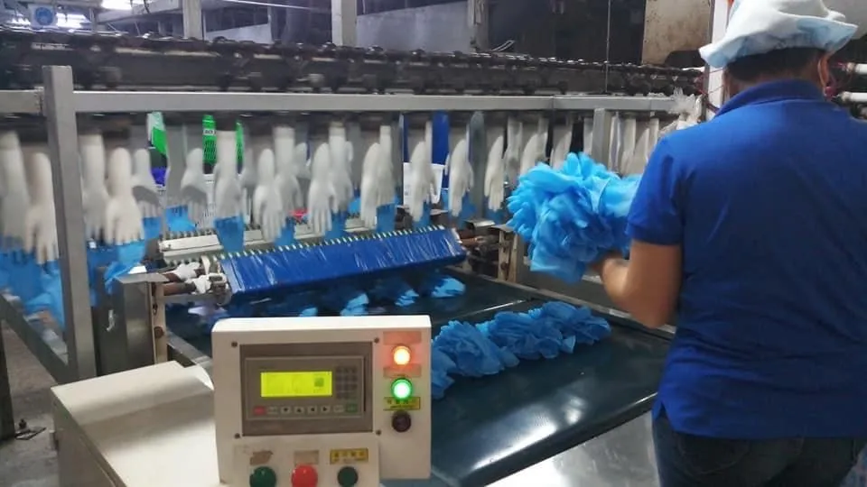 En374 Large Instock Vinyl Working PVC Gloves / Nitrile Gloves / Vinyl Gloves