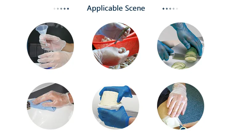 Vinyl Examination Gloves/PVC Gloves/Vinyl Safety Gloves for Household Use