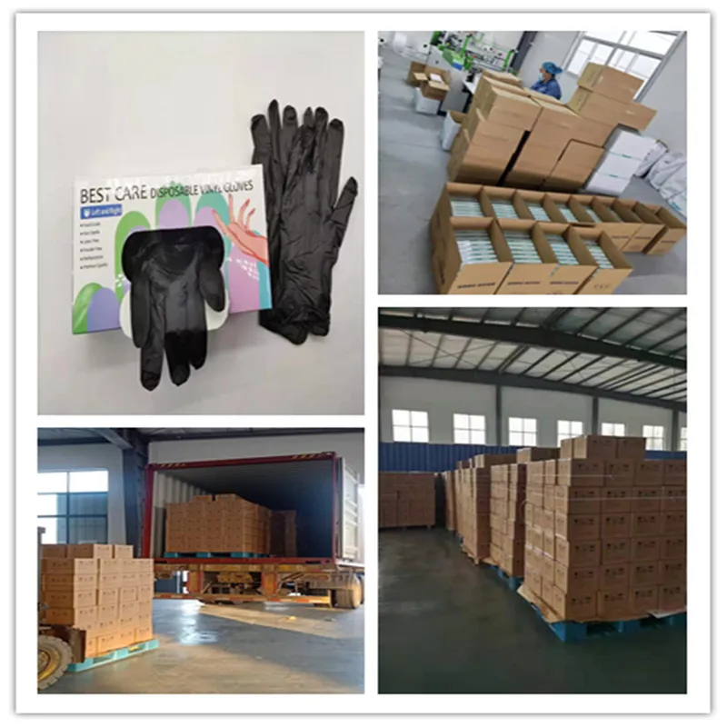 Powered Free Vinyl Gloves Disposable PVC Transparent Black Examination Vinyl Gloves