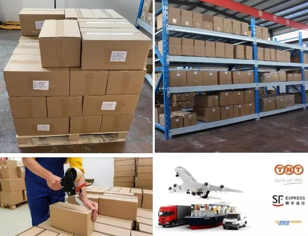 Latex Gloves Nitrile Gloves Vinyl Gloves PE/PVC Gloves Production Line Disposable Powdery Gloves