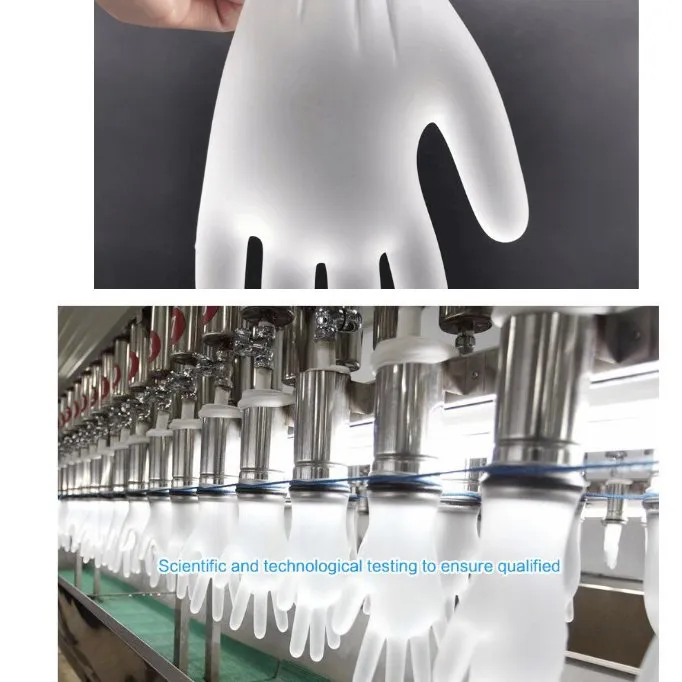 Disposable Vinyl Hand Gloves/Dental Vinyl Gloves/Powder Free Vinyl Gloves