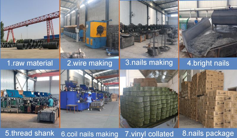Galvanized Spiral Nails Wooden Pallets Coil Nails Manufacturers