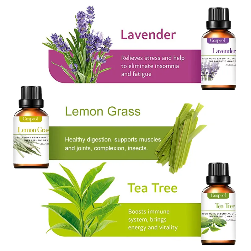 New Products Pure Essential Oil for Therapeutic Aromatherapy