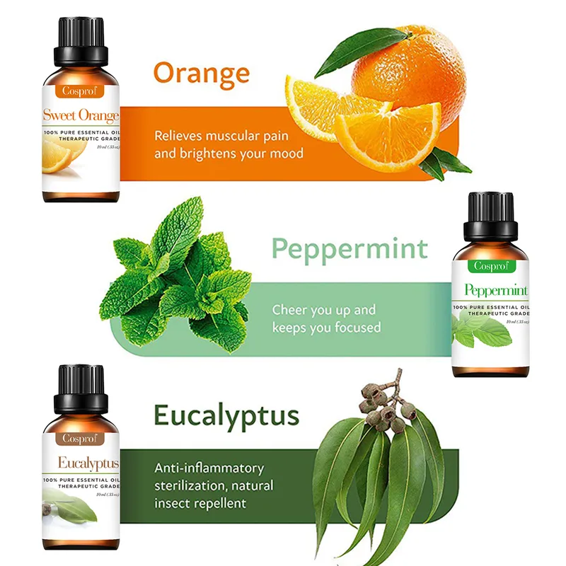 New Products Pure Essential Oil for Therapeutic Aromatherapy