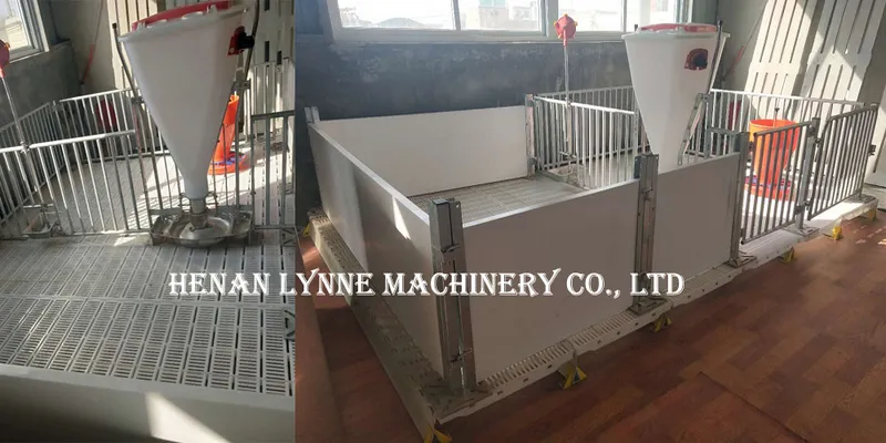 Poultry Farm Swine Automatic Dry Wet Stainless Feeders for Sale