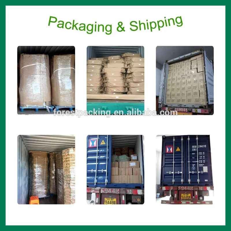 6 Pack 750ml Wine Bottles Paper Carriers with Handle