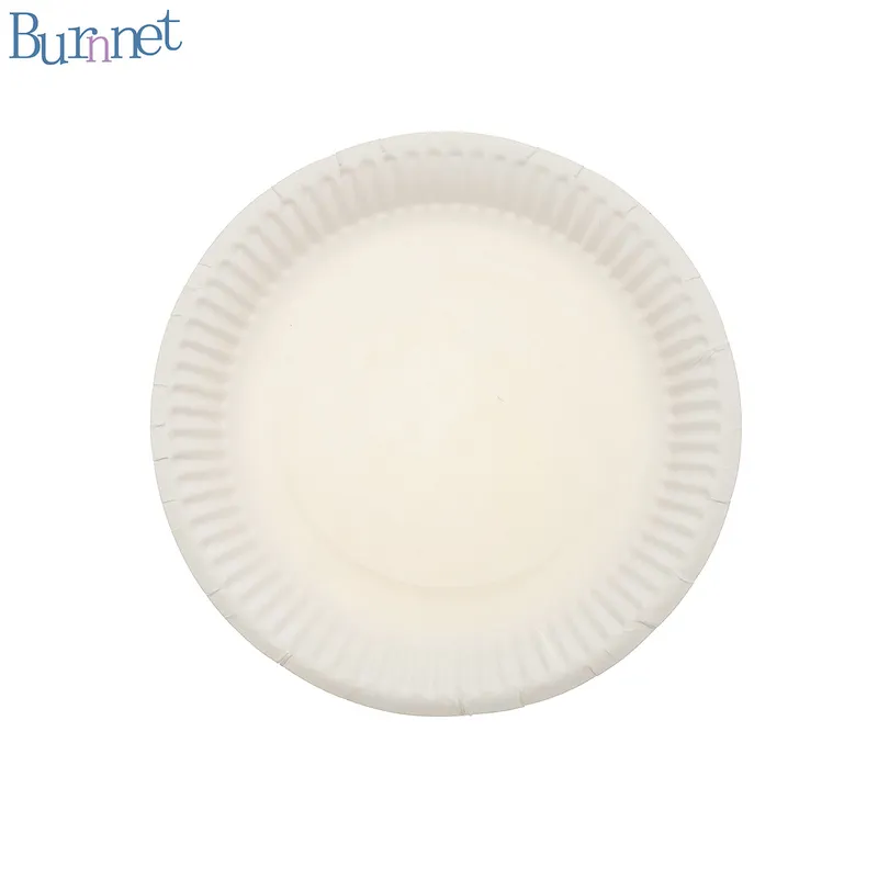 Plastic-Free Biodegradable Disposable Fruit Paper Plate