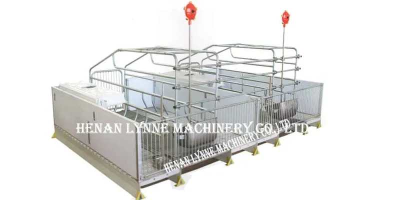 Poultry Farm Swine Automatic Dry Wet Stainless Feeders for Sale
