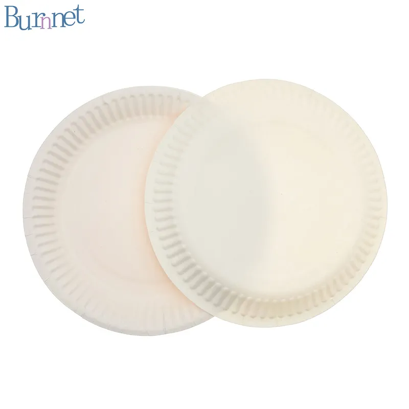 Plastic-Free Biodegradable Disposable Fruit Paper Plate